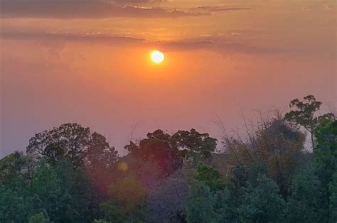 Mayura Biligiri, B.R Hills -KSTDC