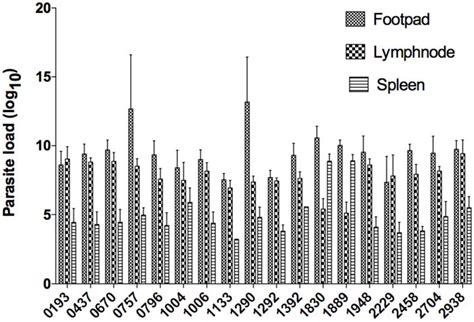 Intra-Specific Diversity of Leishmania major Isolates: A Key ...