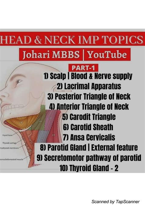 SOLUTION: Head neck anatomy johari mbbs - Studypool