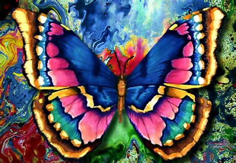 butterfly artwork 3d