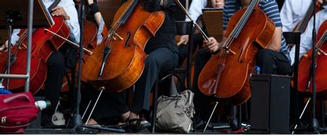 Image result for String Combo Music