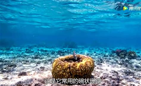 沙滩上的死鱼高清图片下载_红动中国