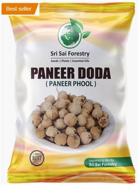 Buy Soul Culture Dried Paneer Doda/Paneer Ke Phool(Flower For Diabetes ...