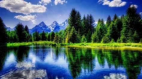 Image result for Colorado O2 Sensor Bank One