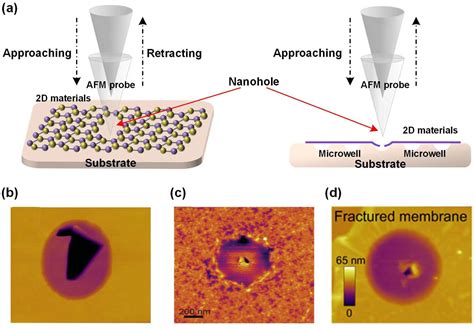 Research on AFM tip-related nanofabrication of two-dimensional materials