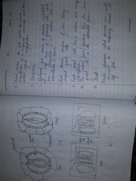 Science CBSE Experiments 的图像结果