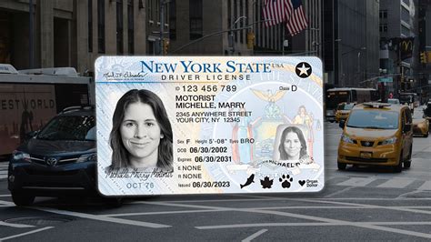 Image result for Interactive Infographc Example