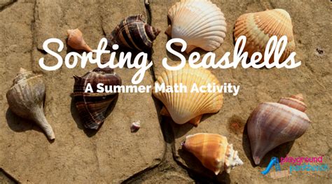 Seashell Sorting Activity 的图像结果