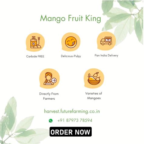 Buy Fresh Jardalu Mango Online | GI Tagged | Direct from Farms ...