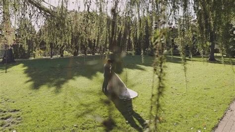 Fine Wedding Introduction Clips 的图像结果