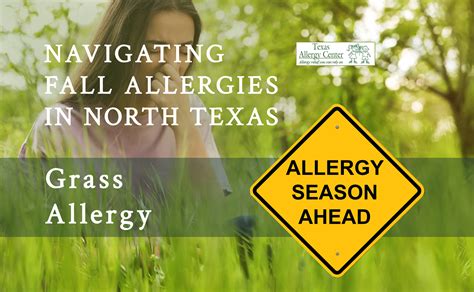 Texas Allergy Center Helps You Navigate Fall Allergies in North Texas: Grass Allergy - Texas ...