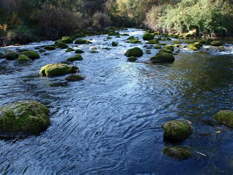 Putah Creek Resort - Napa, CA