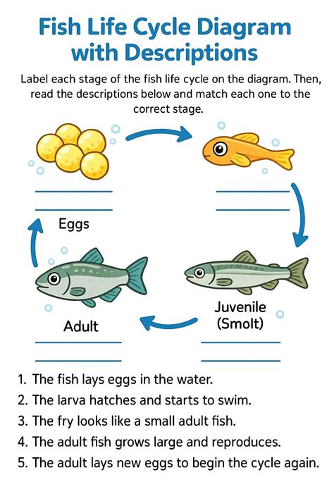 Fish Life Cycle Diagram with Descriptions Worksheet - Download & Print Now!