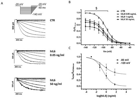 Interleukin-6 Modulates the Expression and Function of HCN Channels: A ...