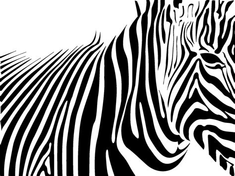 Image result for Zebra Print