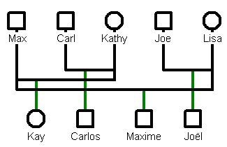Image result for GenoPro Sample Genogram
