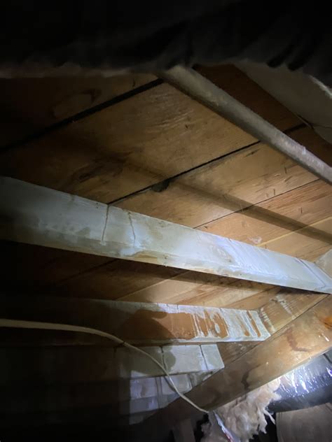 White Fungus On Floor Joists | Floor Roma