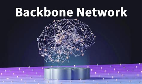 Backbone Network 的图像结果