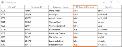 Image result for DataGrid BoundColumn