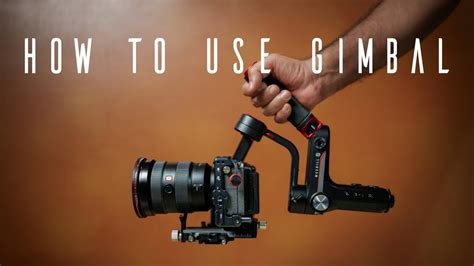 Gimbal Tutorial 的图像结果