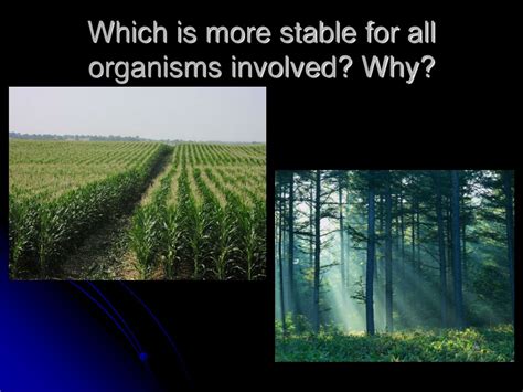 Image result for Vocabulary Development