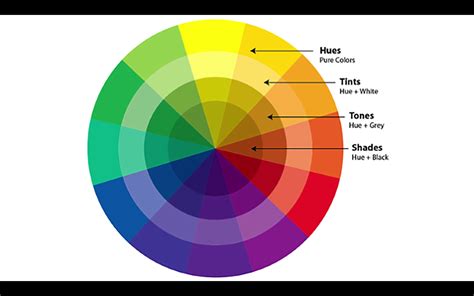 Dressing Your Truth hues, tints, tones and shades | Color theory, Color ...