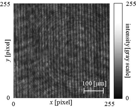 Image result for Interference Fringe Pattern Type