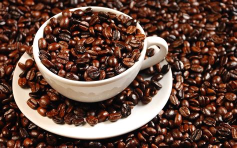 教你保存咖啡豆的秘诀 - 咖啡学院 - 国际咖啡品牌网