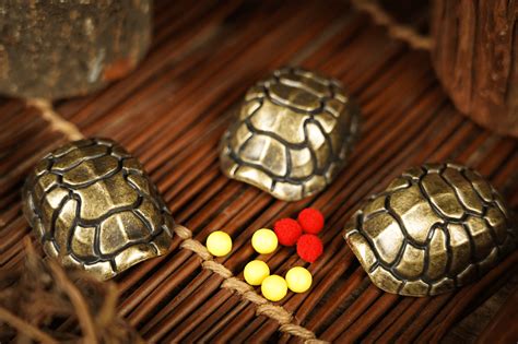 Image result for Magic Shell Game