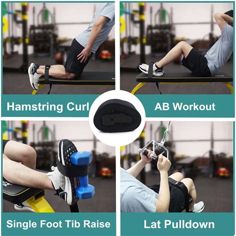 Dumbbell Hamstring Curl