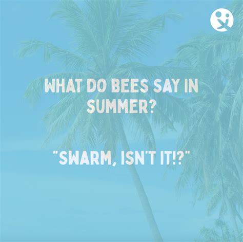 50 Fun Summer Jokes for Kids to Beat the Heat – DaddiLife
