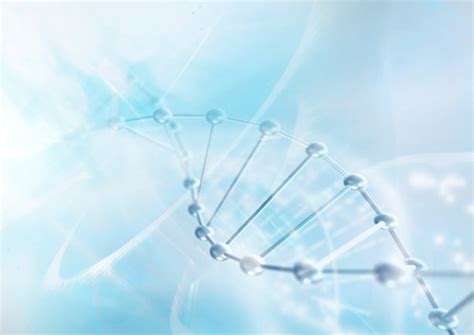 Dna图片 的图像结果