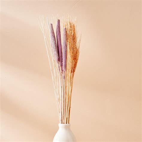 Buy Moksha Bajra Wheat Dried Bunch - 60cm from Home Centre at just INR ...