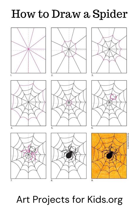 Image result for Spider Tutorial
