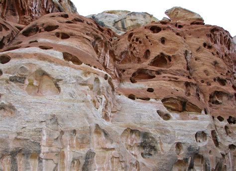 Wind Erosion | Weathering and erosion, Chemical weathering, Physical ...