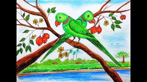 Image result for How to Draw a Parrot Two