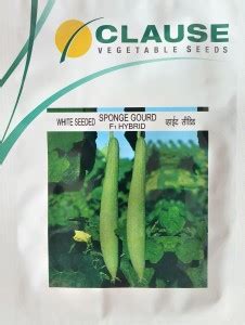clause SPONGE GOURD F1 HYBRID, 10GM Seed Price in India - Buy clause ...