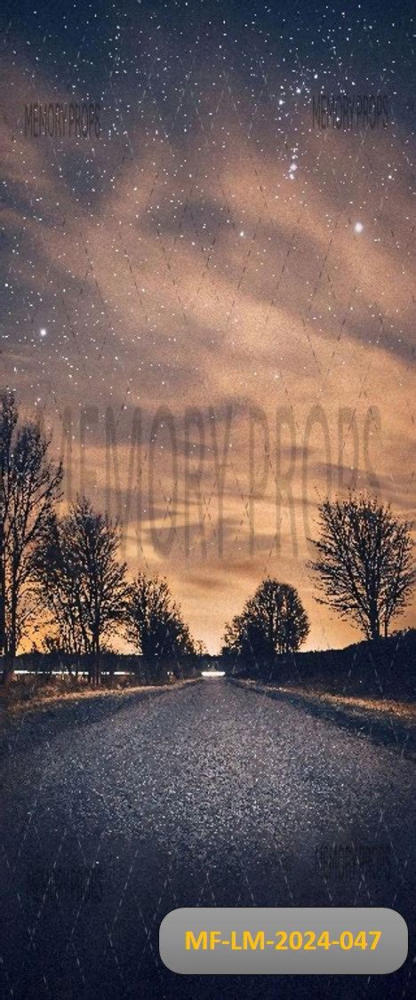 Nature Night Shiny Road Endless Tree Roadside Printed Backdrop