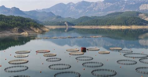 Improving sustainability and welfare of aquatic food systems