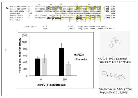 Targeting the Iron-Response Elements of the mRNAs for the Alzheimer’s ...