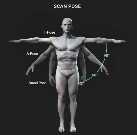 Scanned Digital Sculpture Stylized Toon