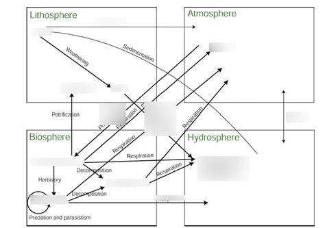 Cycle Graph Template 的图像结果