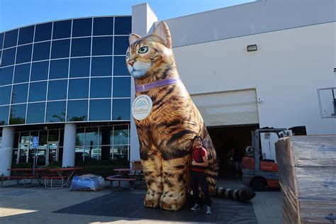 Image result for Big Cat Inflatable