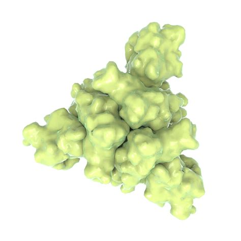 刺突蛋白（Spike Protein，S蛋白） – 思斐迩3D科学模型素材库