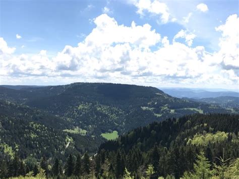 Black Forest Photos - Featured Images of Black Forest, Baden ...