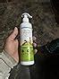 Buy Mamaearth Tea Tree Anti Dandruff Shampoo, With Tea Tree & Ginger ...