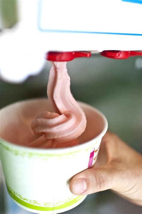 Used Frozen Yogurt Machines – Good or Bad Idea? | Ice Cream Equipment ...