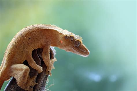 Image result for Photoshop Training Class