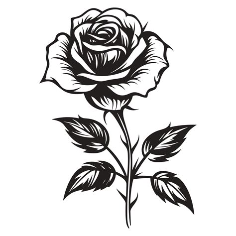 Beautiful Rose Silhouette - 25070098 PNG