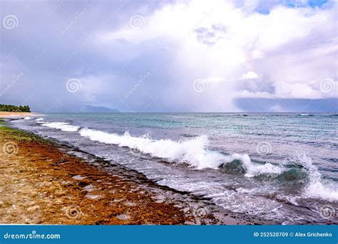 Laniakea Beach Turtle Beach on the North Shore, Oahu, Hawaii Stock ...